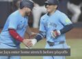 Click to play video: 'Expert says the Blue Jays have a good chance at making the playoffs this year'