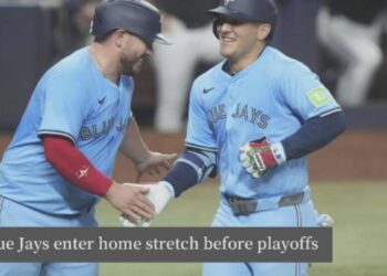 Click to play video: 'Expert says the Blue Jays have a good chance at making the playoffs this year'