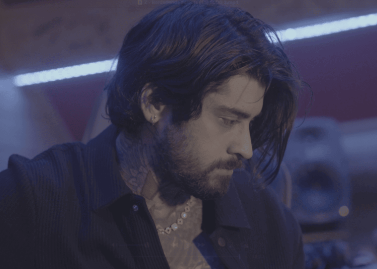 Borderlands 4 Zayn Malik