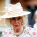Queen Camilla has long campaigned against sexual and domestic violence (PA Wire)