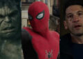 The Hulk as he appeared in Avengers: Age of Ultron, Spidey from Spider-Man: No Way Home, The Punisher, played by Jon Bernthal as The Punisher in the Netflix series. .