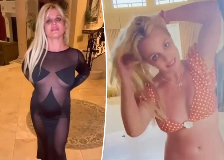 Britney Spears' friends, family worried as singer is living in messy mansion covered in dog poop