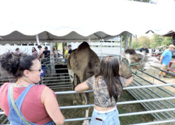 Brooke Fair offered contests, entertainment and more | News, Sports, Jobs