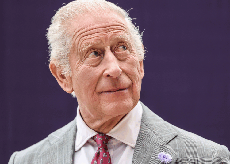 Buckingham Palace Releases Striking Photo of King Charles