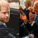 Buckingham Palace makes exciting announcement as King Charles welcomes Harry