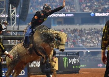 Man riding bull