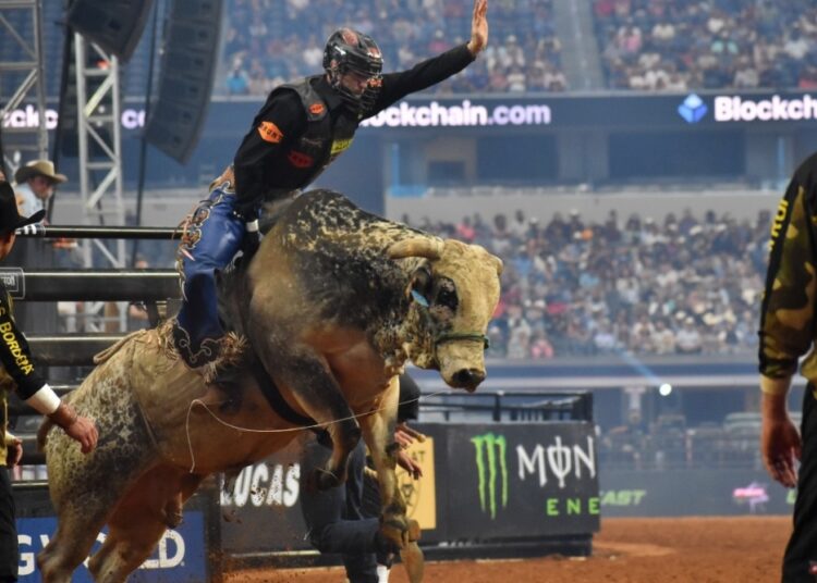 Man riding bull