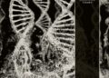 CORONER Shares Music Video For New Single, "Symmetry", From Upcoming Album "Dissonance Theory"
