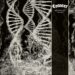 CORONER Shares Music Video For New Single, "Symmetry", From Upcoming Album "Dissonance Theory"