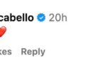 social media post by camila cabello expressing affection