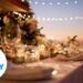 Camila Cabello surprises Iowans by singing 'First Man' at wedding