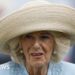 Camilla fought off attempted indecent assault as teenager, book says