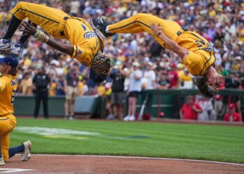 Celebrity Appearance Wishlist for the Savannah Bananas in Seattle!