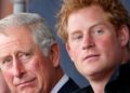Charles sends cryptic message to Harry as royals 'struggle to forget' - Celebrity News - Entertainment