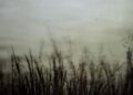 Colorado exhibit features history of photography processes | Arts & Entertainment