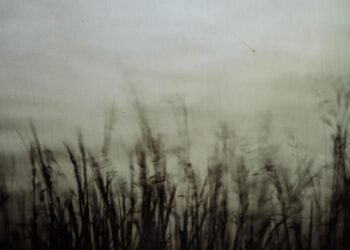 Colorado exhibit features history of photography processes | Arts & Entertainment