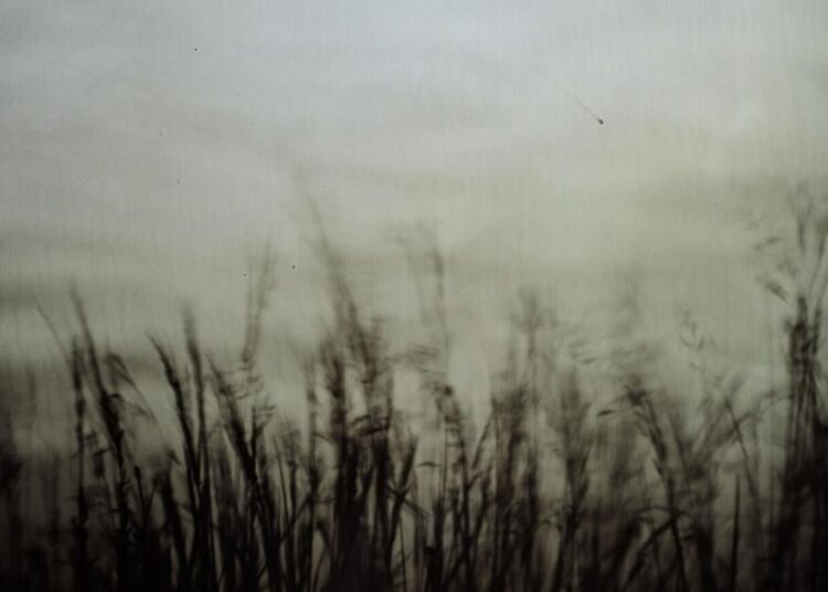 Colorado exhibit features history of photography processes | Arts & Entertainment