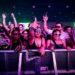 Contact Winter Music Festival