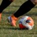 Cougars edge Royals in women’s soccer – Wilkes-Barre Citizens' Voice