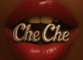 Cover Artwork: Che Che - DJ K.O feat. Laik