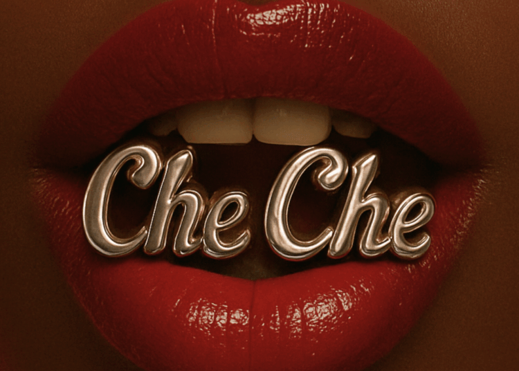 Cover Artwork: Che Che - DJ K.O feat. Laik