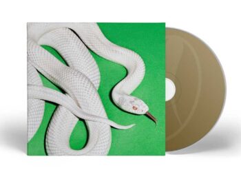 Deftones new record, private music, album cover