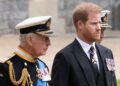 Details of Harry and Charles' meeting - including sweet gift - Celebrity News - Entertainment