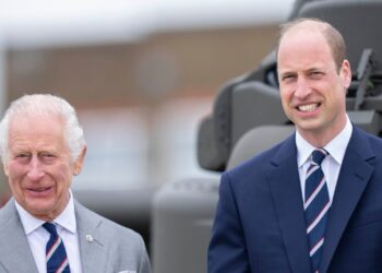 Did Prince William and King Charles Meet to Talk About Prince Harry?