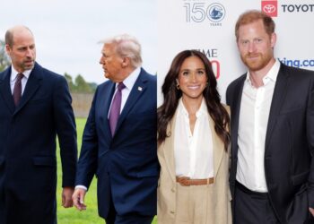 Did Trump Shade Prince Harry & Meghan Markle During UK Visit?