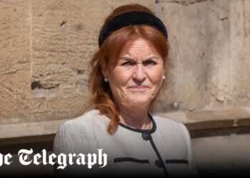 Duchess of York could be stripped of honorary title over Epstein scandal