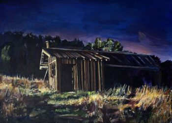 ENTERTAINMENT: Comedian Leanne Morgan sets arena show; AMFA offers art market