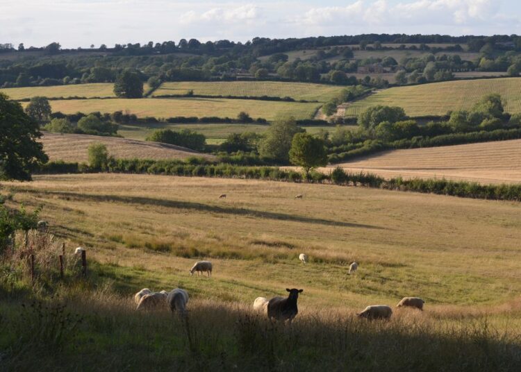 The rolling fields near DeGeneres' new village, on the edge of the affluent Cotswolds area of England.