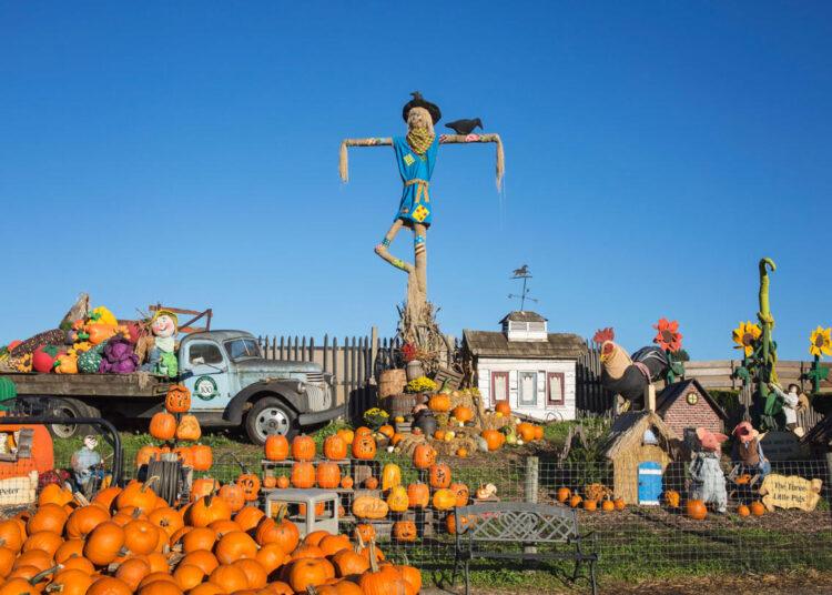 Fall Festivals in Pennsylvania