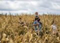 Fall outdoor South Shore things to do: Music, beer, pumpkins