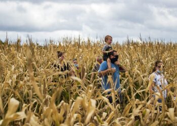 Fall outdoor South Shore things to do: Music, beer, pumpkins