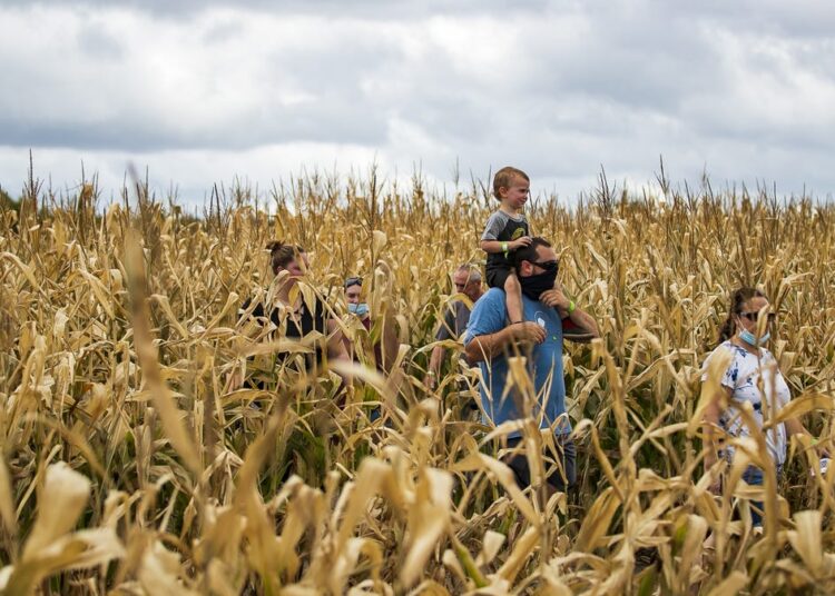Fall outdoor South Shore things to do: Music, beer, pumpkins