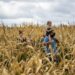 Fall outdoor South Shore things to do: Music, beer, pumpkins