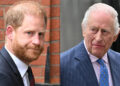 Prince Harry, King Charles