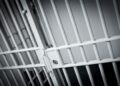 Former California man who sold bogus memorabilia with fake celebrity autographs gets a year in prison – The Mercury News