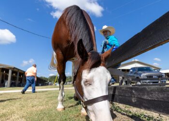 Gainesville and Alachua County entertainment calendar Sept. 19, 2025