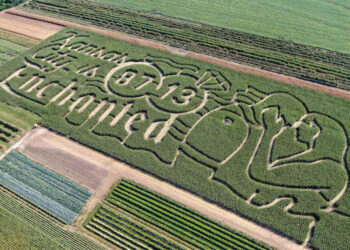 A new corn maze celebrating the love story of Chiefs tight Travis Kelce and pop superstar Taylor Swift has been carved by Precision Mazes into a 9-acre cornfield at Johnson Farms Plants and Pumpkins in Belton, Missouri.  
