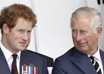 Harry has 'to be consistent' to get King Charles meeting, says expert - Celebrity News - Entertainment