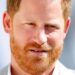 Harry urged to take things 'slow' after Charles reunion - Celebrity News - Entertainment