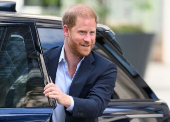 Harry 'working his magic' with Charles but now he faces a test - Royals - News