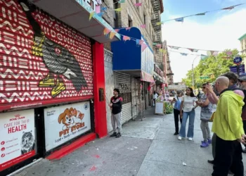 🎶Hidden Murals, Music Tours, & More NYC Events