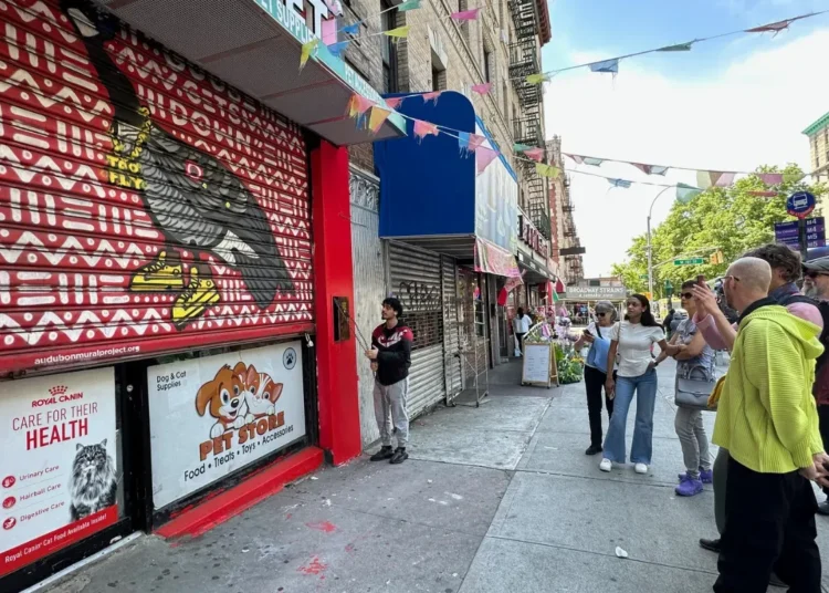 🎶Hidden Murals, Music Tours, & More NYC Events