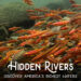Our Appalachian Rivers are home to an amazing abundance and diversity of aquatic life which need our protection.
