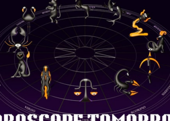 Horoscope Tomorrow, September 13, 2025, read predictions for all sun signs(Freepik)