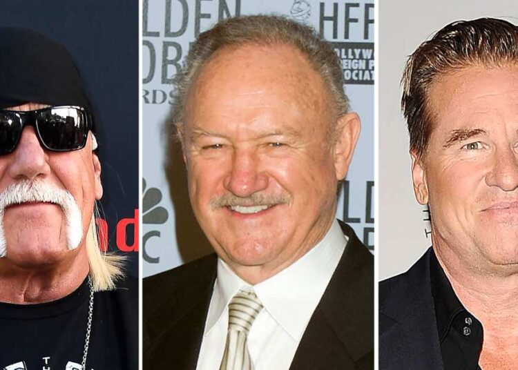 Hulk Hogan and More Stars Left Out of 2025 Emmys In Memoriam Dedication