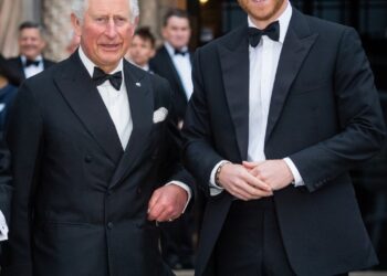 GettyImages-1140417425 inside prince harry and king charles reunion